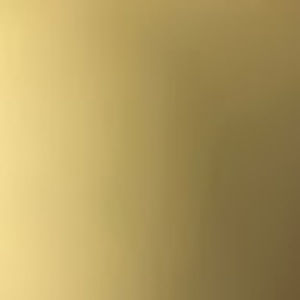 Meet your Posher, Presley